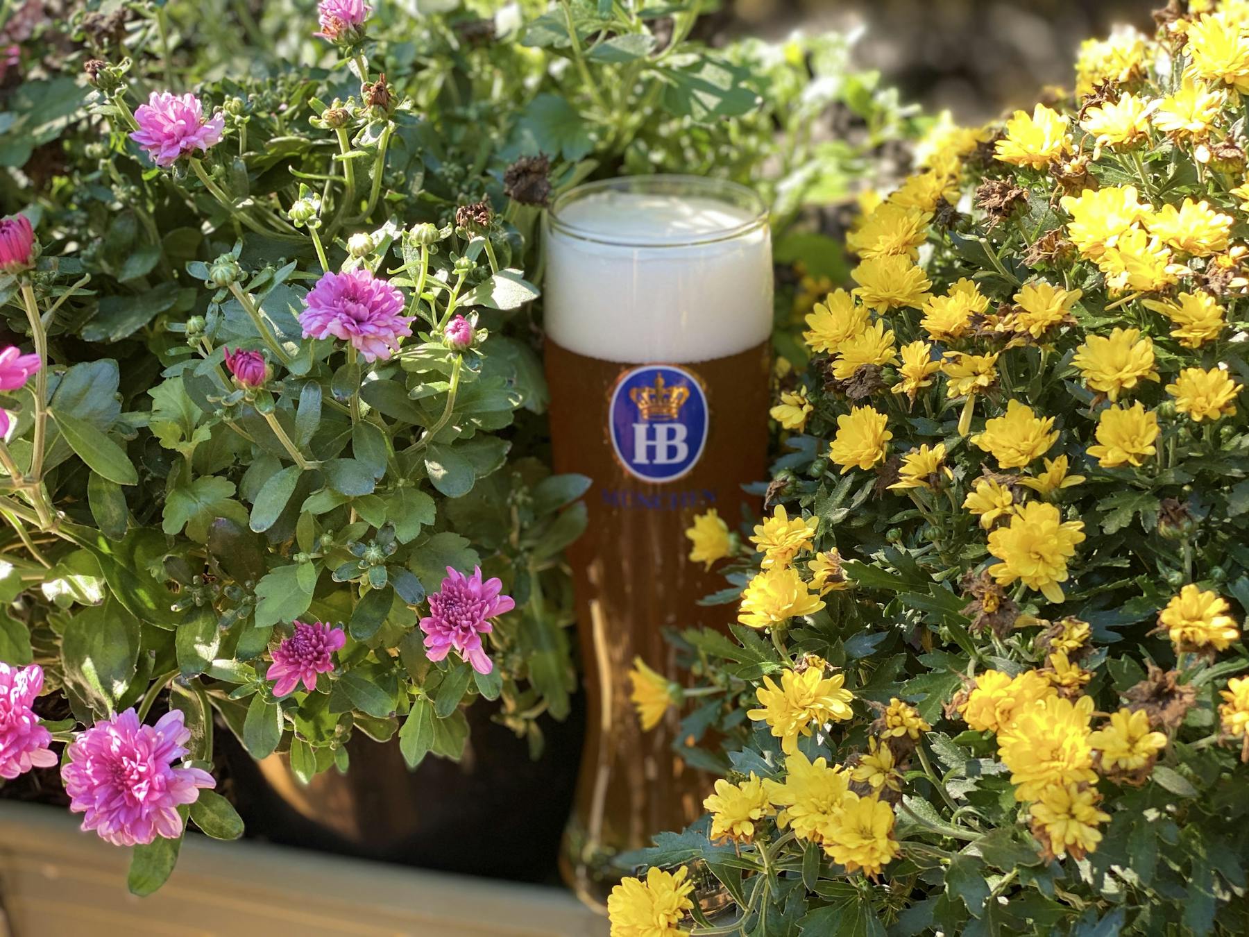 a beer glass with flowers around it